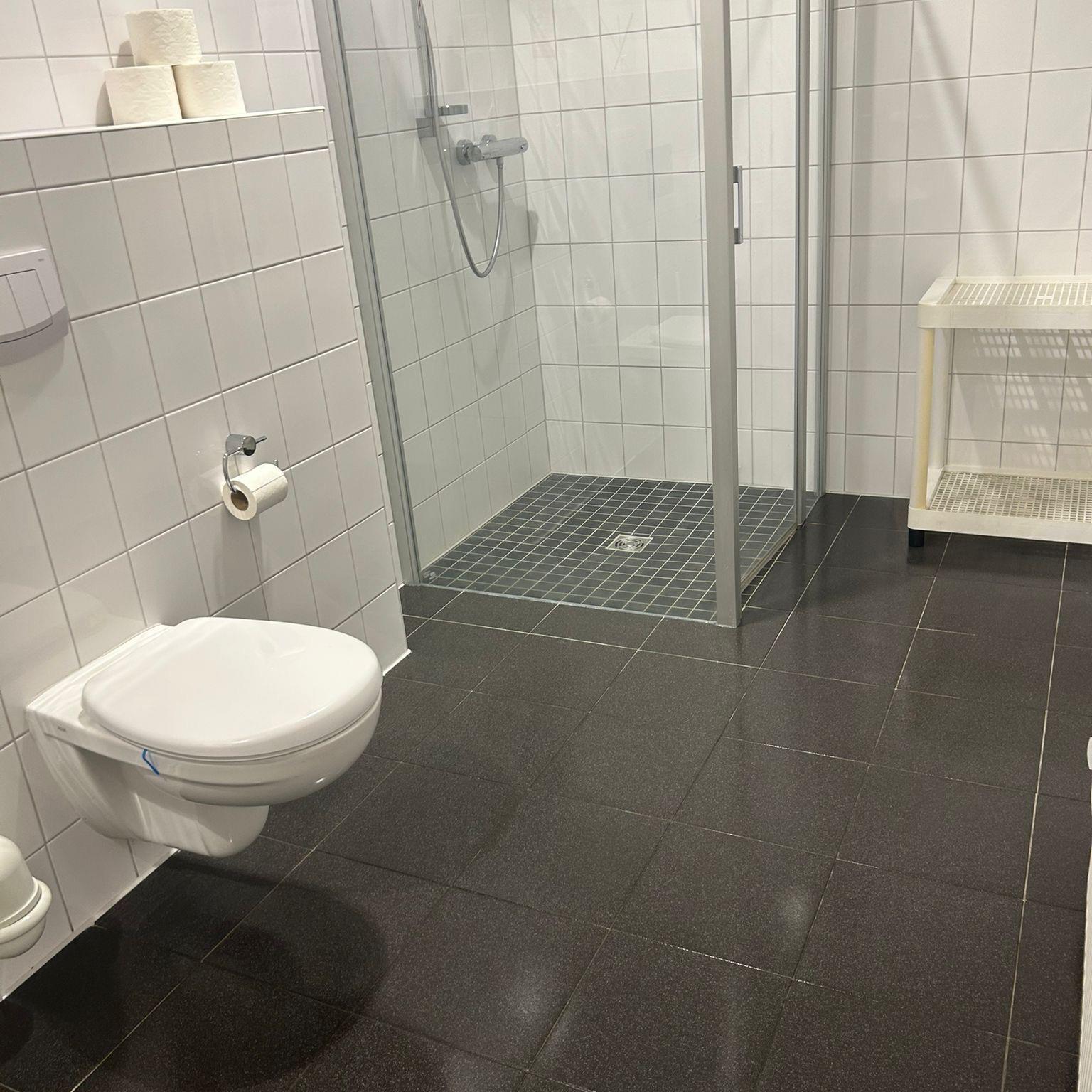 Sanitärreinigung